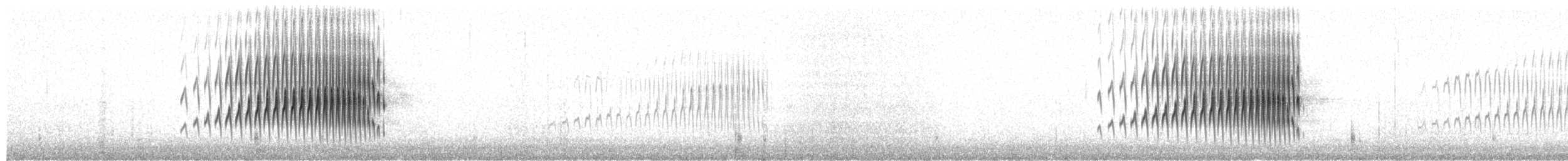 Streak-backed Canastero (Streak-backed) - ML649623858