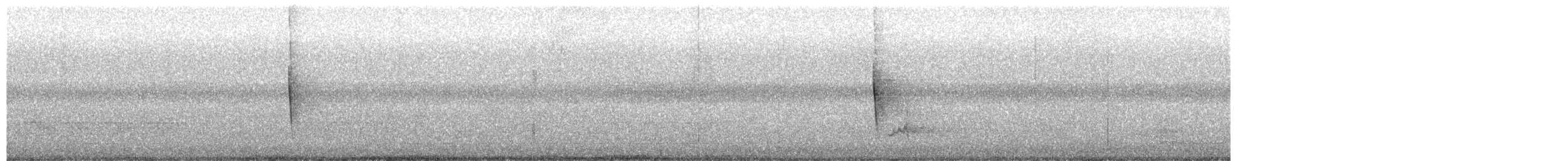 סבכון קנטקי - ML649624738