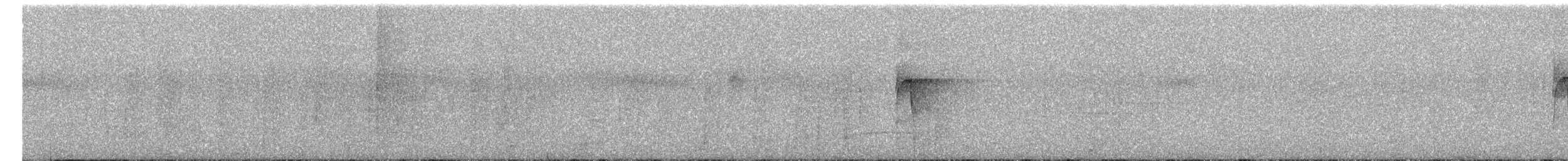 Sclérure à gorge rousse - ML649635866