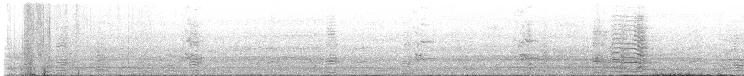 Long-billed Corella - ML649636985