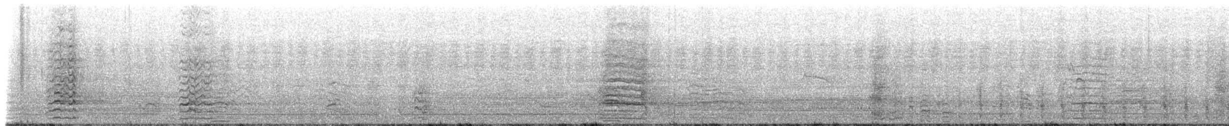 Long-billed Corella - ML649636989