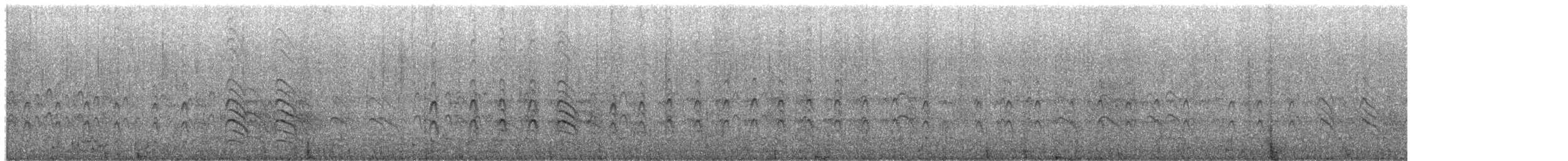 Antarctic Tern (Antarctic) - ML649640657