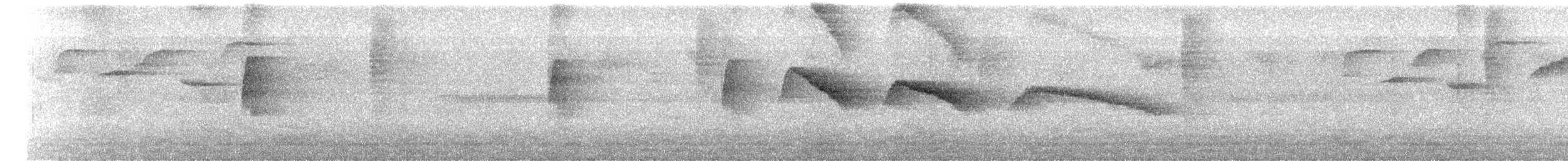 Sclérure à gorge rousse - ML649648516