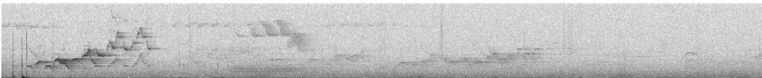 Дрізд-короткодзьоб Cвенсона - ML64965201