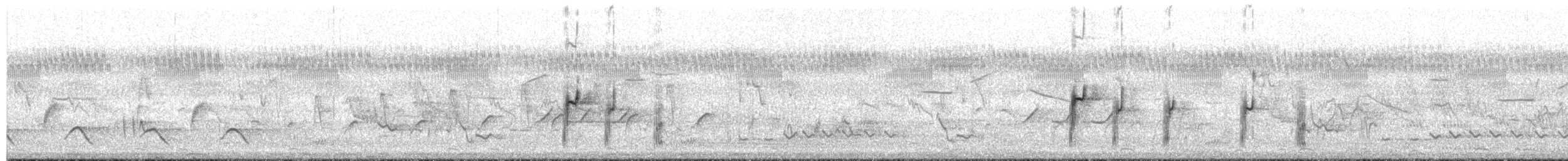 Трёхполосый зуёк (tricollaris) - ML649654602