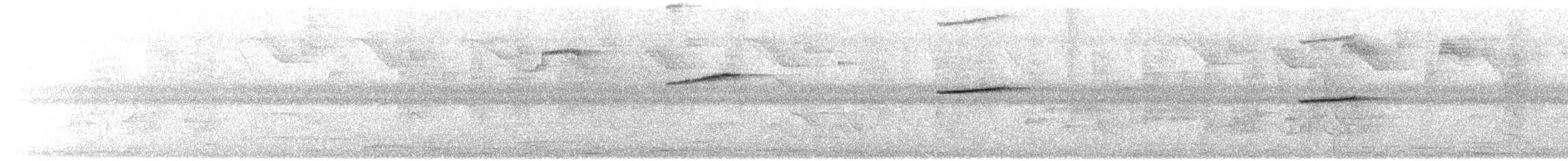 Шпалюшок амазонійський - ML649657260