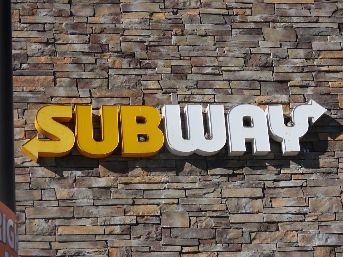 vrabec domácí - ML649679421