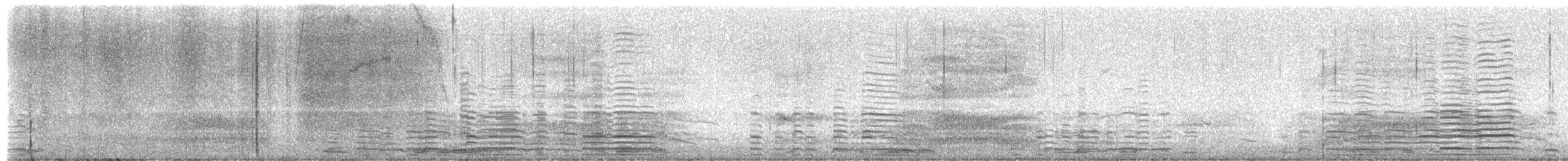 Borazancı Kuğu - ML649688653