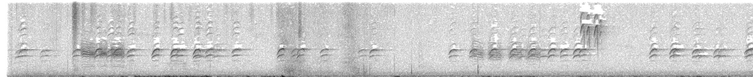 White-winged Crossbill - ML649692258