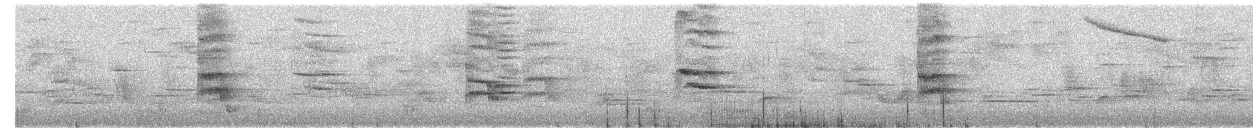 Andean Slaty Thrush - ML649698386