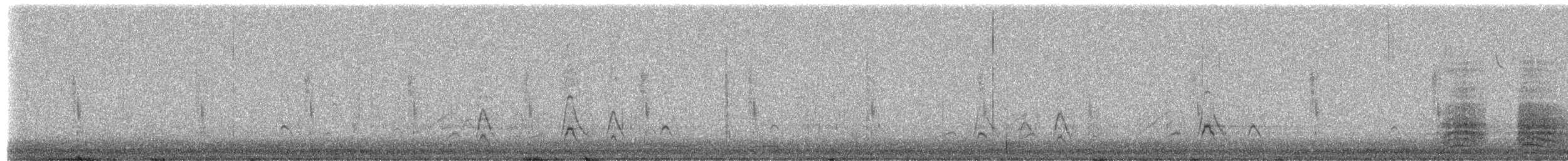 琵嘴鴨 - ML649716653