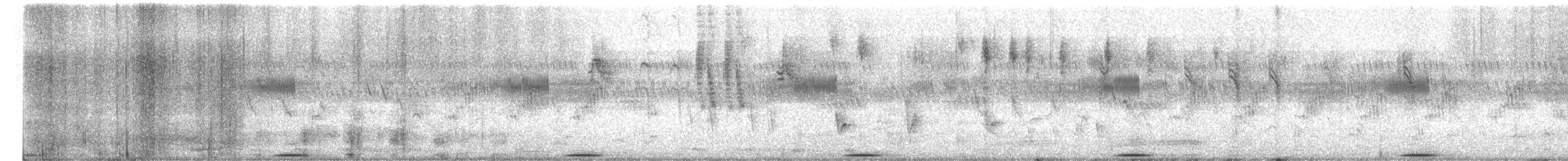 Streaky-breasted Flufftail - ML649718136