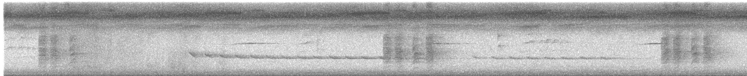 Südsee-Sumpfhuhn - ML649719205