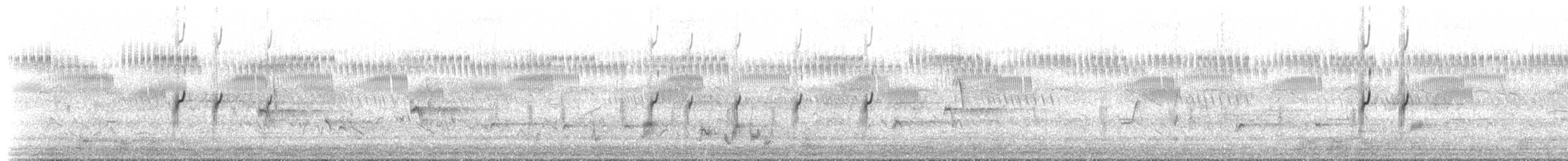 Трёхполосый зуёк (tricollaris) - ML649723085