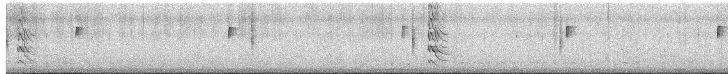 ハシボソキツツキ - ML649732533