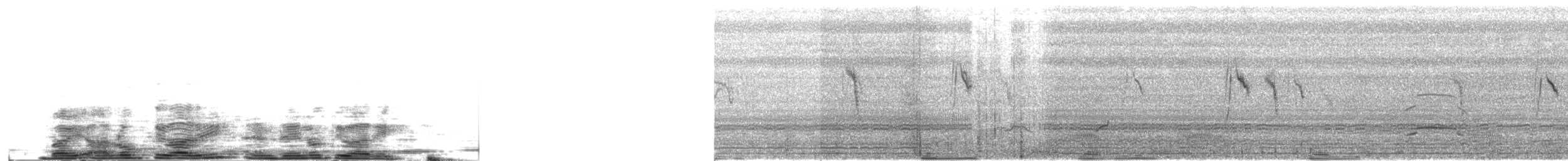 slangeørn - ML649735850