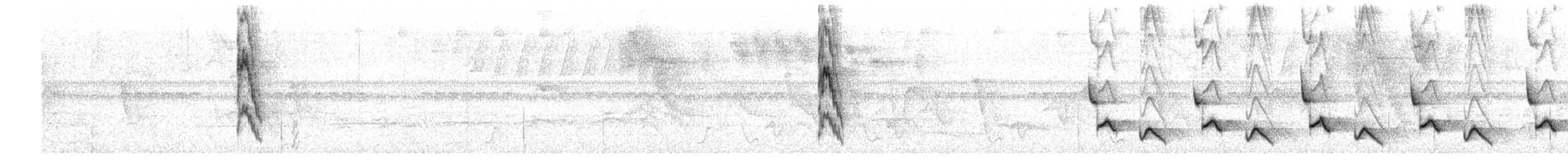 Manakin casse-noisette - ML649741168