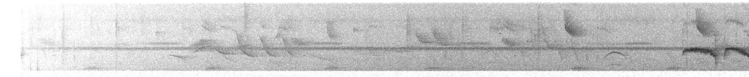 Moucherolle d'Euler - ML649741210