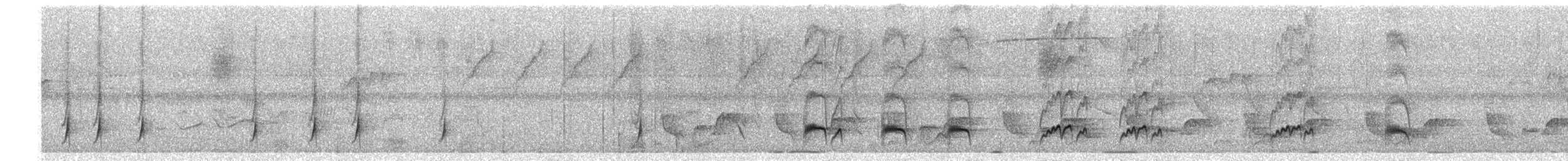 Tyran de Wied - ML649741233