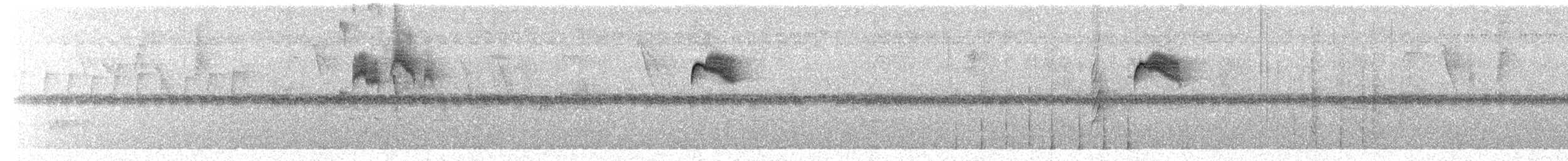 Tyran tacheté - ML649741269