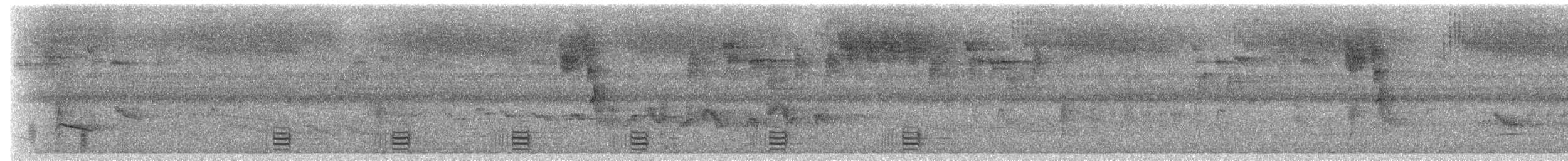 Grisin du Brésil - ML649741902