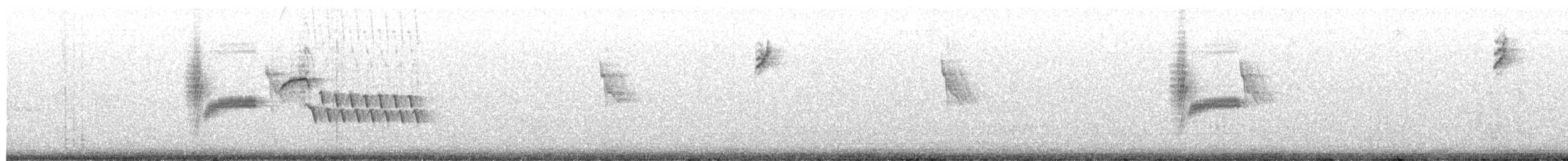 Buschzaunkönig - ML649744019