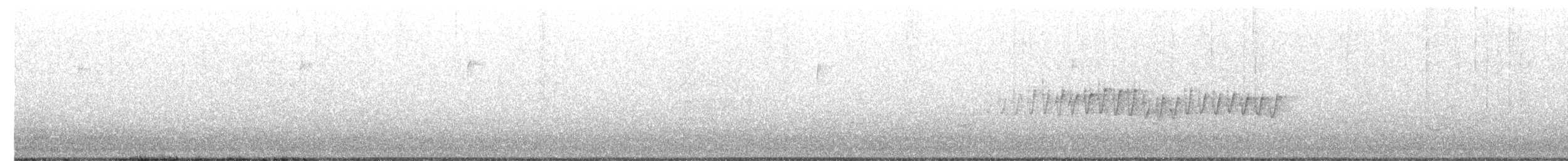 Pine Warbler - ML649756392