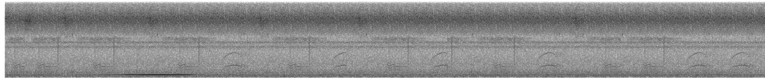 Colombe de Verreaux - ML649758415