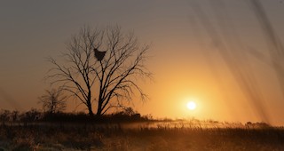 Hope Marsh, Marquette, Wisconsin, United States - eBird Hotspot