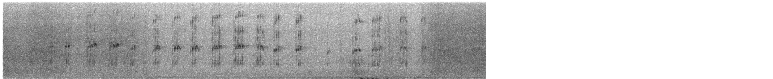 American Barn Owl (American) - ML649772078