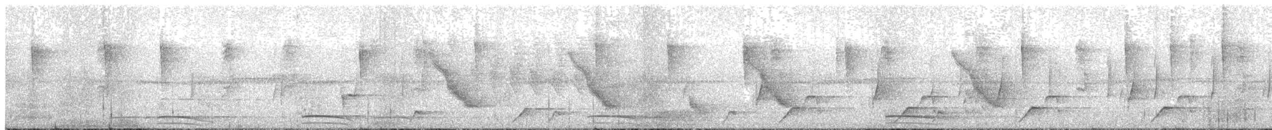 Northern Parula - ML649772715