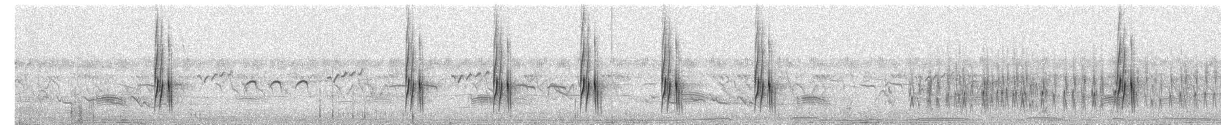 Ekru Tepeli Tiranület - ML649776831