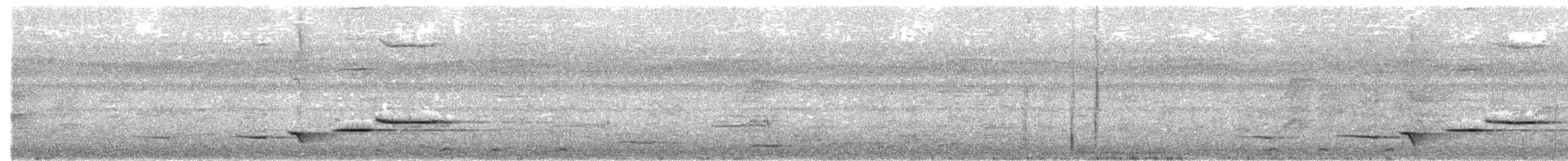 Weißzügel-Dickkopf - ML649780663