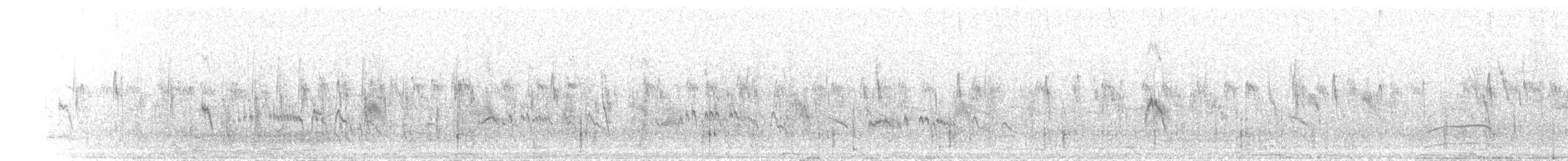 Horus Swift - ML649780952