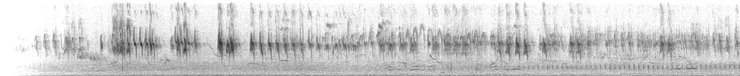 African Silverbill - ML649780955