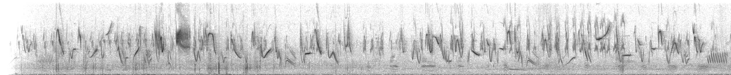 White-rumped Seedeater - ML649780957