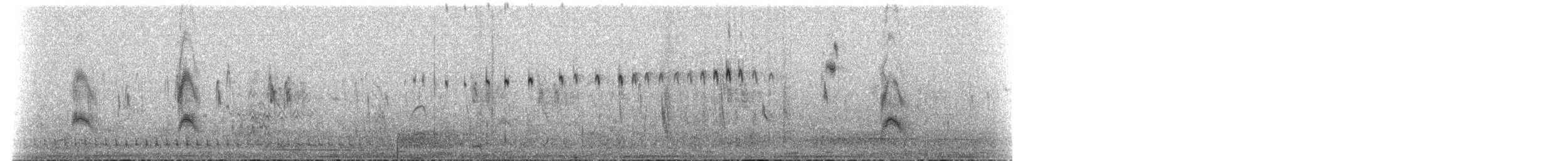 Horus Swift - ML649780959