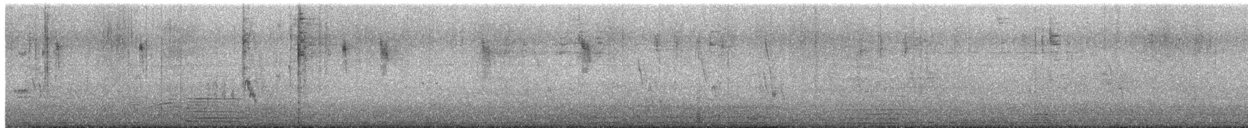Cisticole des joncs (groupe juncidis) - ML649782820