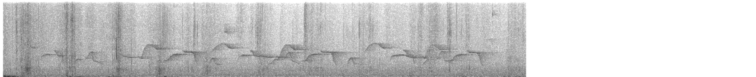 Cucarachero Pinto - ML649783302