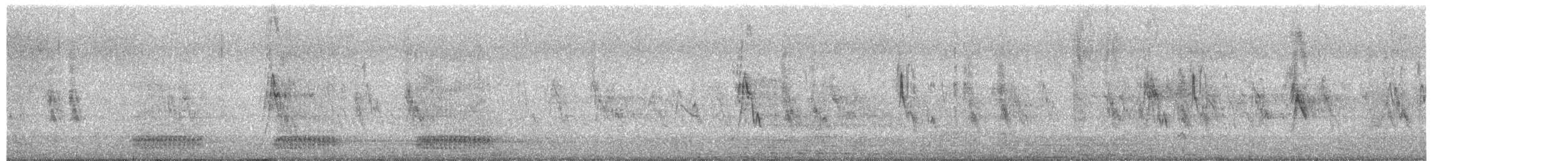 Corneille mantelée - ML649783797