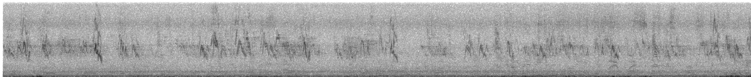 Moineau domestique - ML649783905