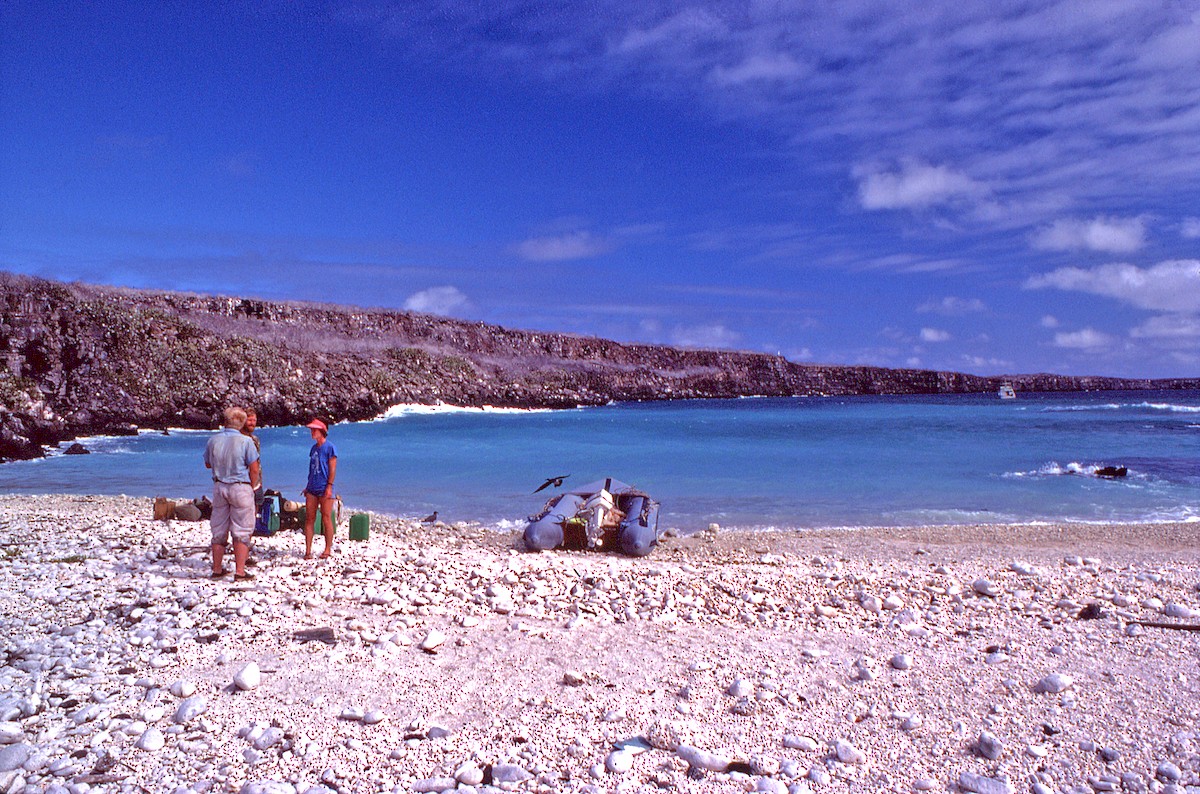 Мартин темний - ML649789724