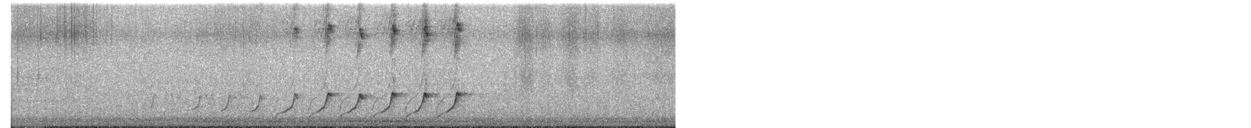 ショウジョウコウカンチョウ - ML649792771