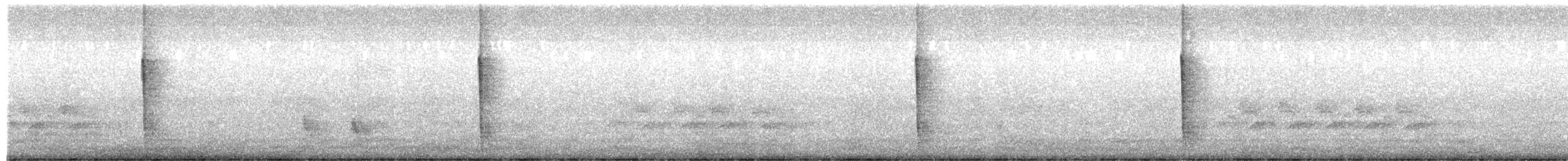 チャイロツグミモドキ - ML649810040