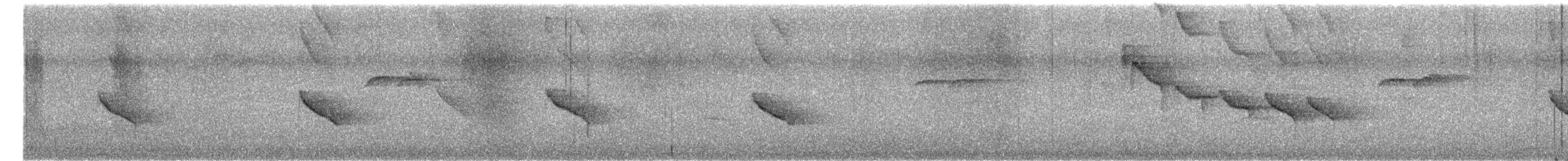 White-throated Shrike-Tanager - ML649812306