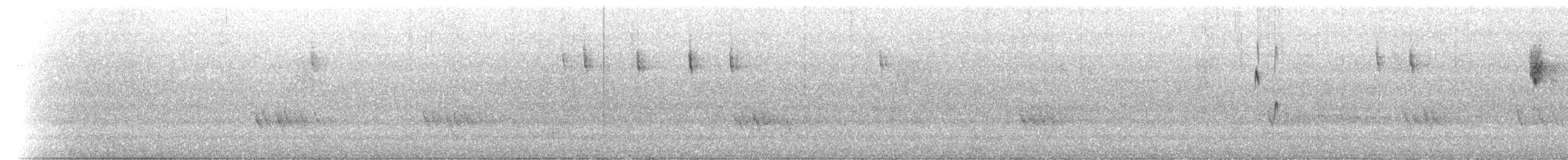 Spotted Scrubwren - ML649817070