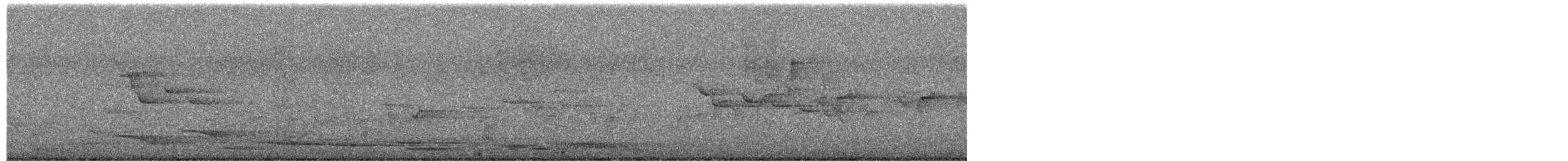 Australian Magpie - ML649832546