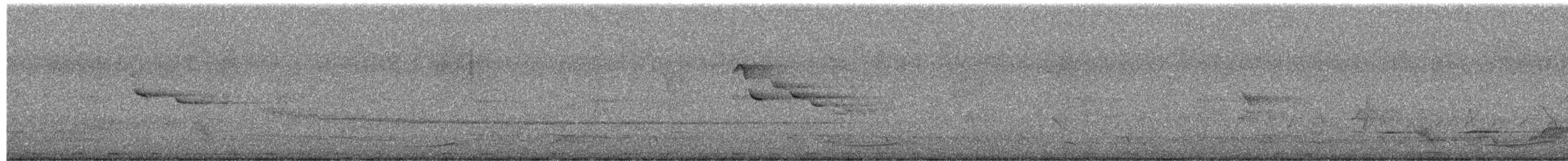 Pacific Koel - ML649832571