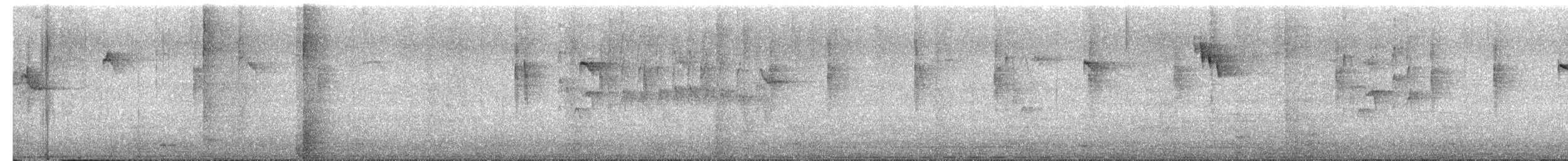 Blassschnabel-Mistelfresser - ML649833011