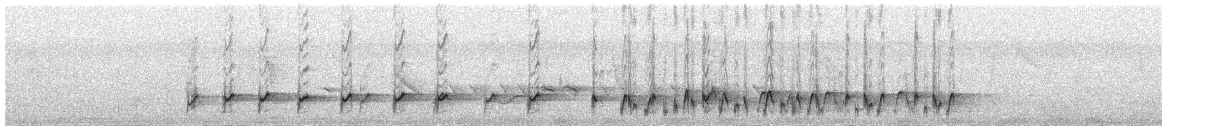 White-browed Bulbul - ML649835313